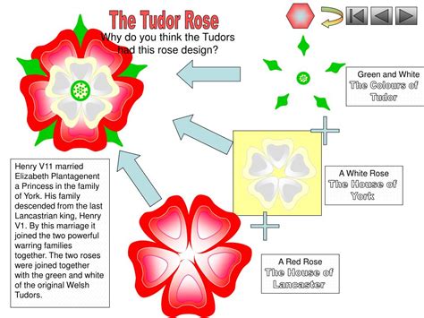 tudor rose facts ks2